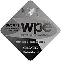 WPE Silver Badge 2nd Half 2024 Fine Art Nude